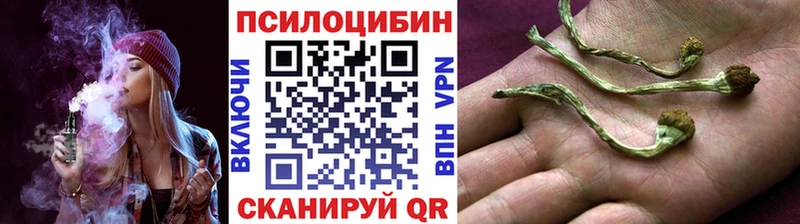 Псилоцибиновые грибы GOLDEN TEACHER  Ардон 