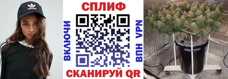 купить наркоту  площадка как зайти  МАРИХУАНА AK-47  Ардон 
